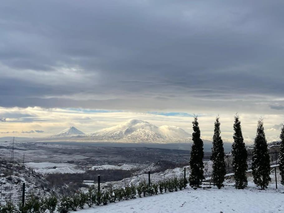 Fabulous In Yerevan.